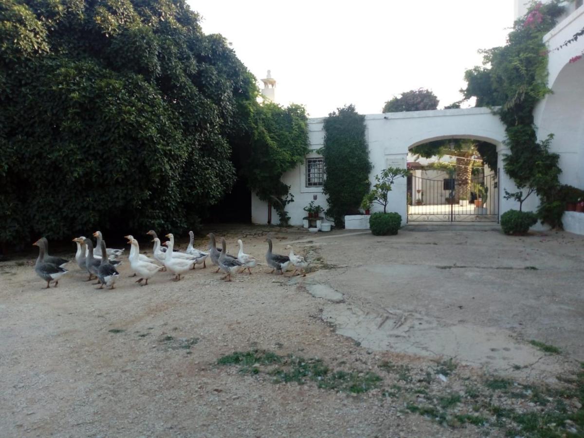 Masseria Parco Di Castro Монтальбано Экстерьер фото